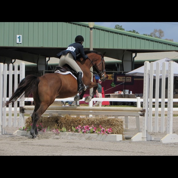 Meet your Posher, Brooke - Picture 1 of 1